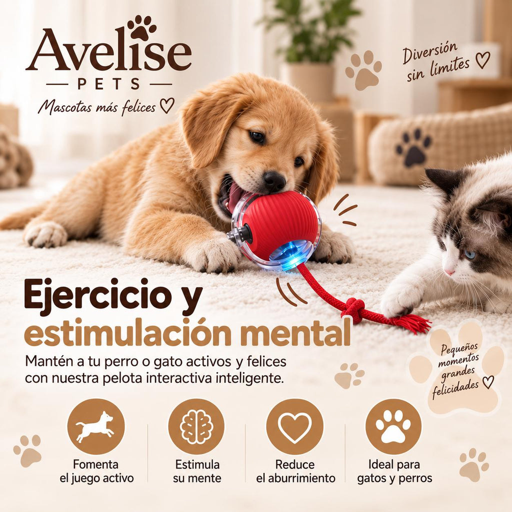 Pelota Automática Estimulante